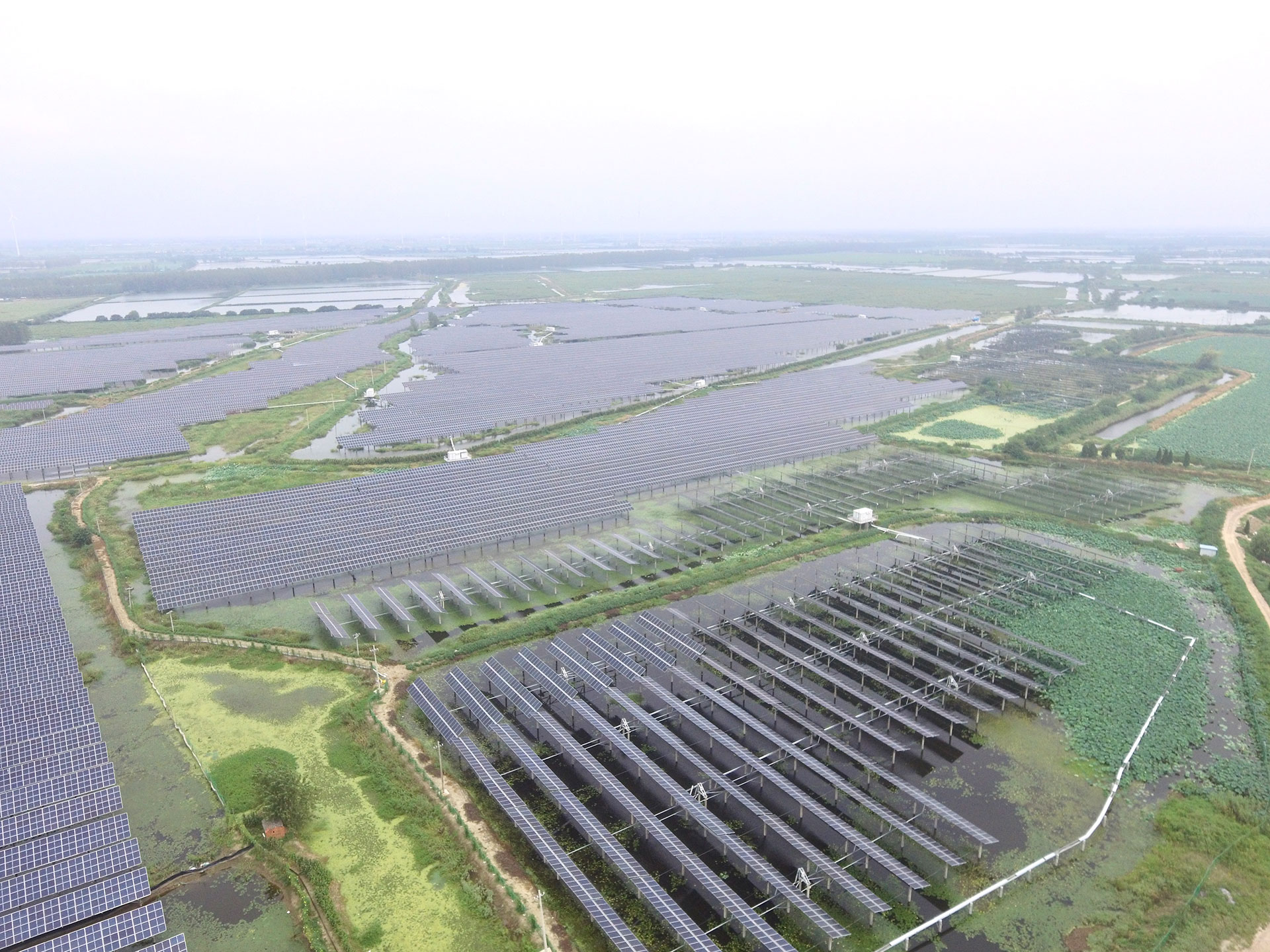 #2 100 MW Project at the Top Runner PV Power Generation Application Base of www.kaiyun.com in Baoying, Yangzhou, Jiangsu Province